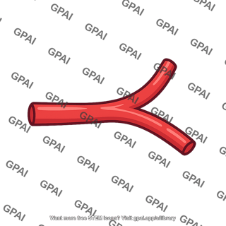 Artery bifurcation