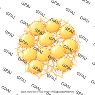 Adipose tissue with ecm