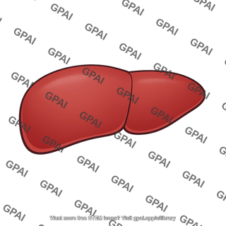 Liver superior surface