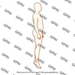 Adult exercising calf raise gender neutral 2 76
