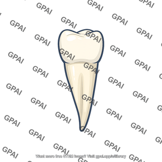 Deciduous tooth