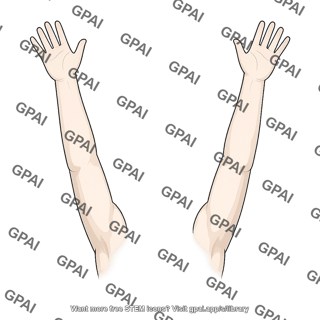 Adult gender neutral superior arms outstretched hairless 282