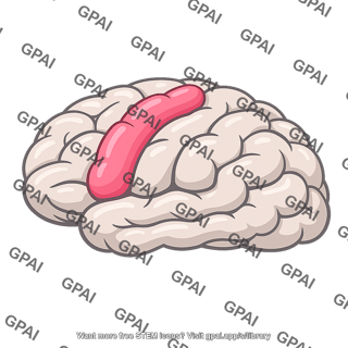Precentral gyrus
