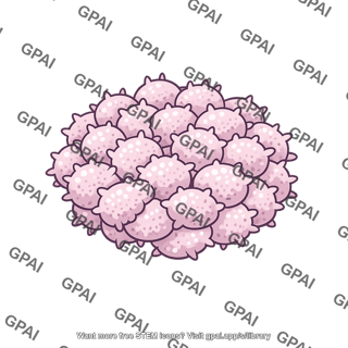 Platelet aggregate