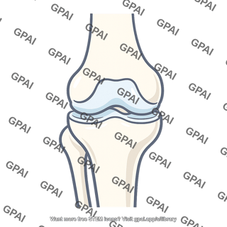 Knee simplified joint segment