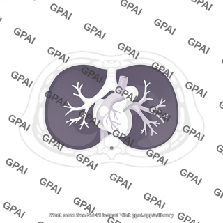 Thoracic cavity axial ct 872
