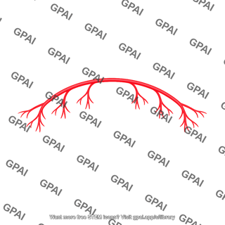 Palmar artery superficial