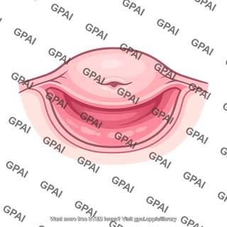 Fornix of vagina posterior