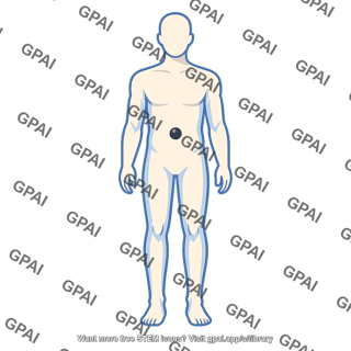 Body center of gravity