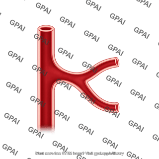 Vessel generic branching 1 arteriole