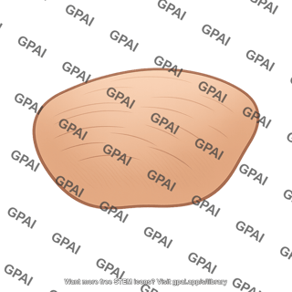 Almond nut
