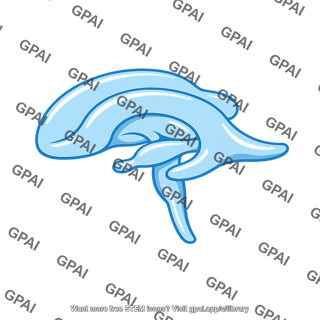 Ventricle of brain