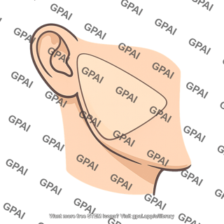 Parotid region
