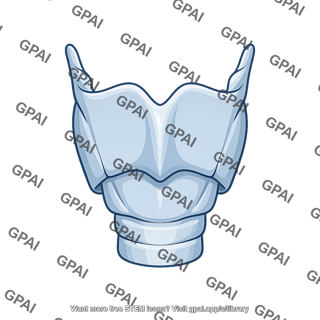 Gorget armor