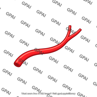 Branching artery