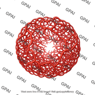 Blood vessel organoid