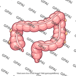 Large intestine