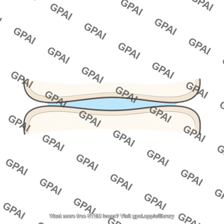 Articular cavity