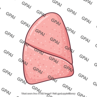 Pulmonary fissure