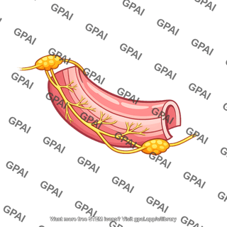 Visceral part of nervous system