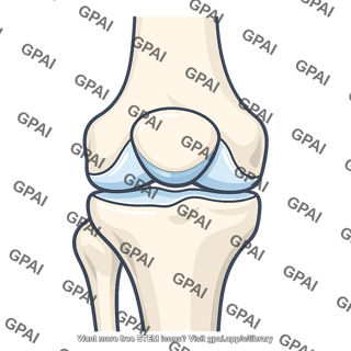 Patellofemoral joint