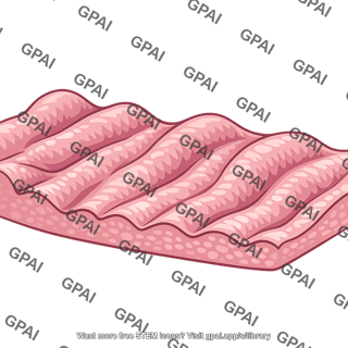Gastric mucosa