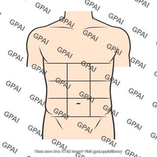 Abdomen nine region grid