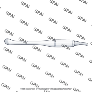 Ultrasound probe transvaginal