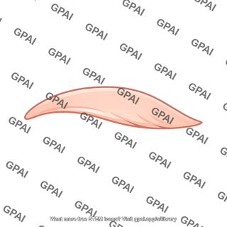 Skin upper eyelid