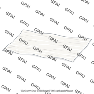 Membranous layer of superficial fascia