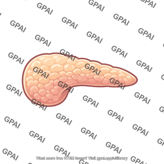 Pancreas