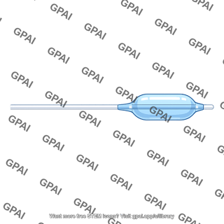 Balloon catheter inflated