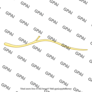 Nerve branch