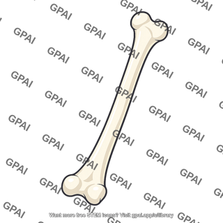 Bone