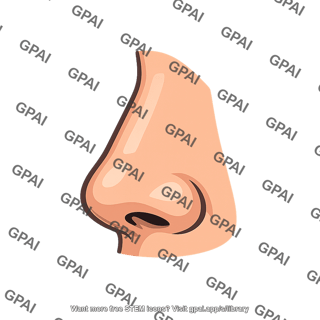 External nose