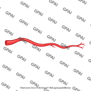 Blood vessel branch