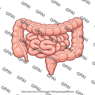 Midgut derivatives