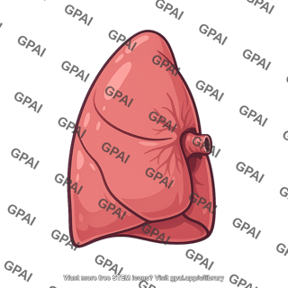 Lung
