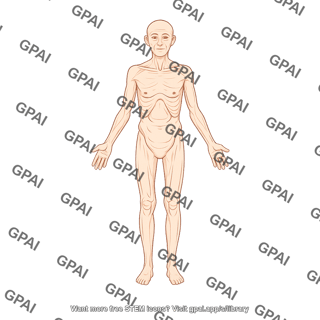 Elderly adult 6 male underweight anterior