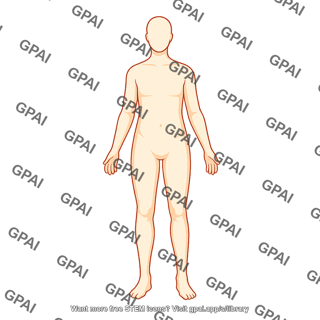 Adult gender neutral anterior lateral head hairless 126