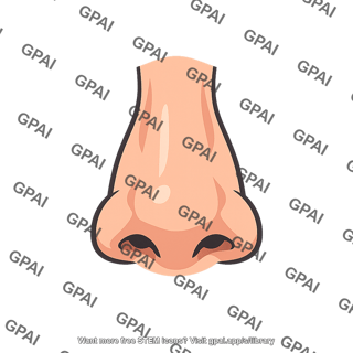 Nose external