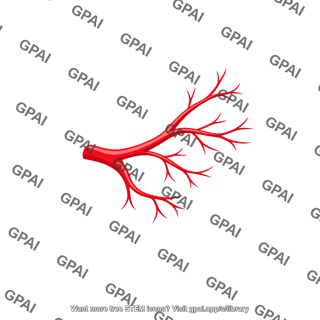 Branching blood vessel