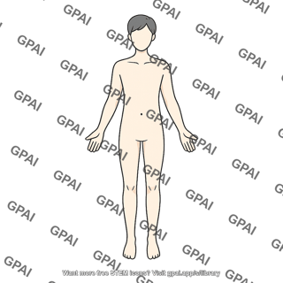 Adult 3 gender neutral anterior