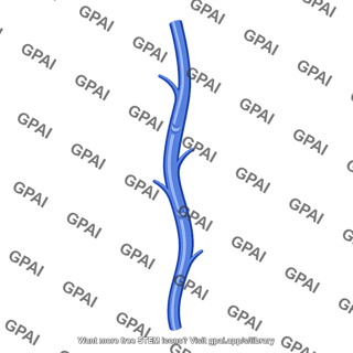 Blue branch