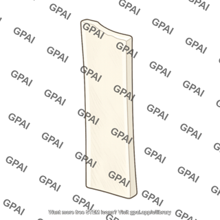 Palatine bone perpendicular plate