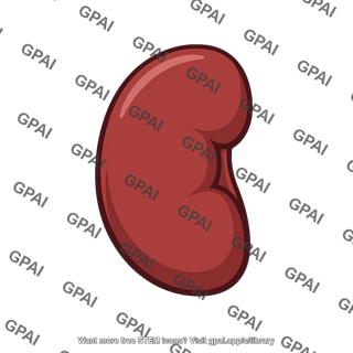 Left kidney