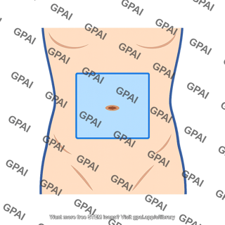 Umbilical region