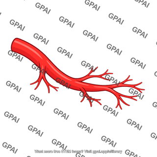 Branching artery