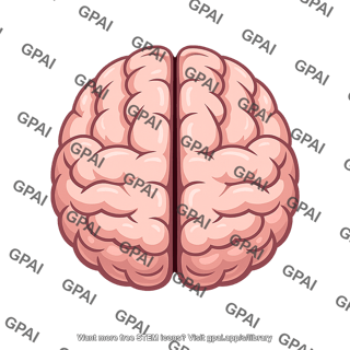 Human brain