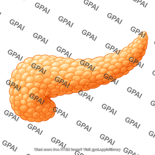 Pancreas 808